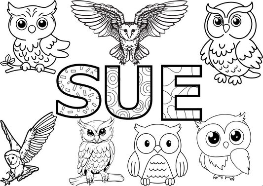 personalised Owl colouring sheet